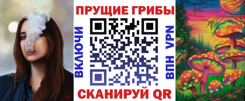 цены наркотик  kraken как войти  Галлюциногенные грибы Psilocybe  Калтан 