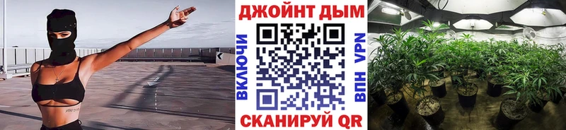 kraken tor  Калтан  Каннабис сатива 